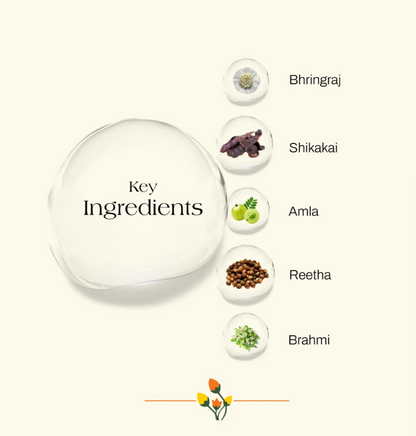 ashpveda Bhringraj & Shikakai Hair Wash - Skydora Life