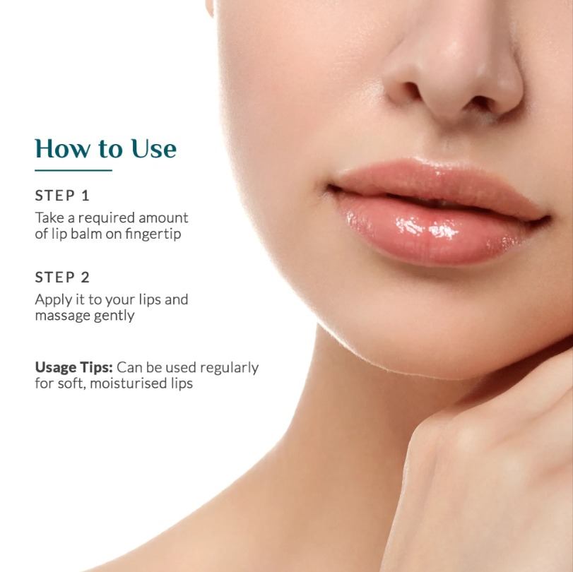 ashpveda Enriching Rose Petal Lip Balm - Skydora Life