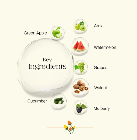 ashpveda Radiant Face Scrub with Fruits & Walnuts - Skydora Life
